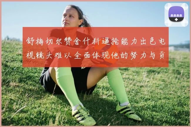 舒梅切尔赞舍什科逼抢能力出色电视镜头难以全面体现他的努力与贡献