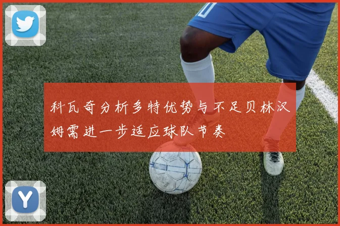 科瓦奇分析多特优势与不足贝林汉姆需进一步适应球队节奏